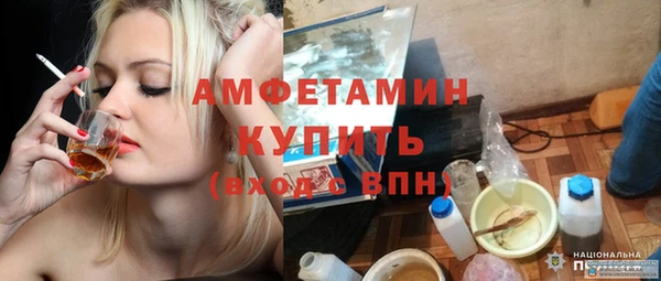 шишки Магас
