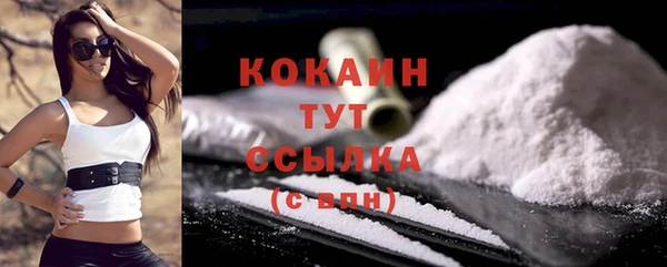 шишки Магас