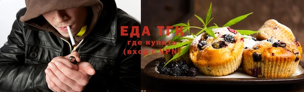 шишки Магас