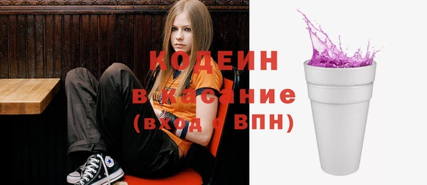 шишки Магас