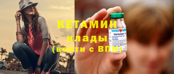 шишки Магас