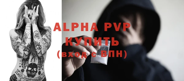 шишки Магас