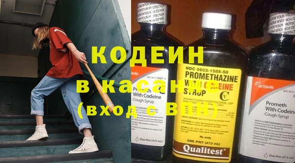 шишки Магас