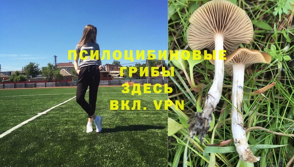 меф Майский