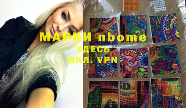 шишки Магас