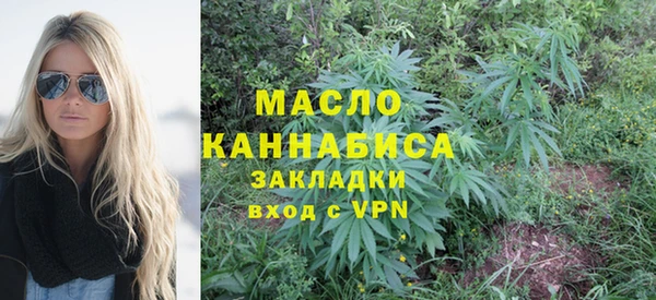 шишки Магас