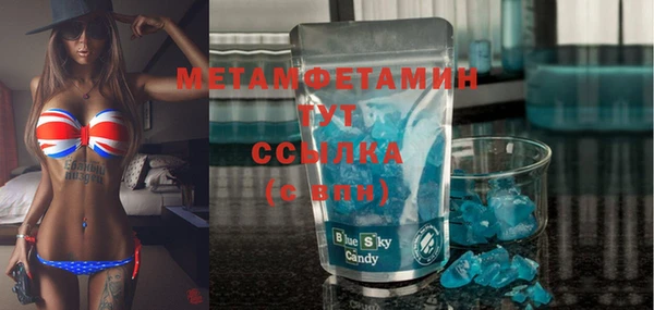шишки Магас