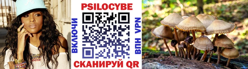Купить где  Мензелинск  Галлюциногенные грибы мицелий 
